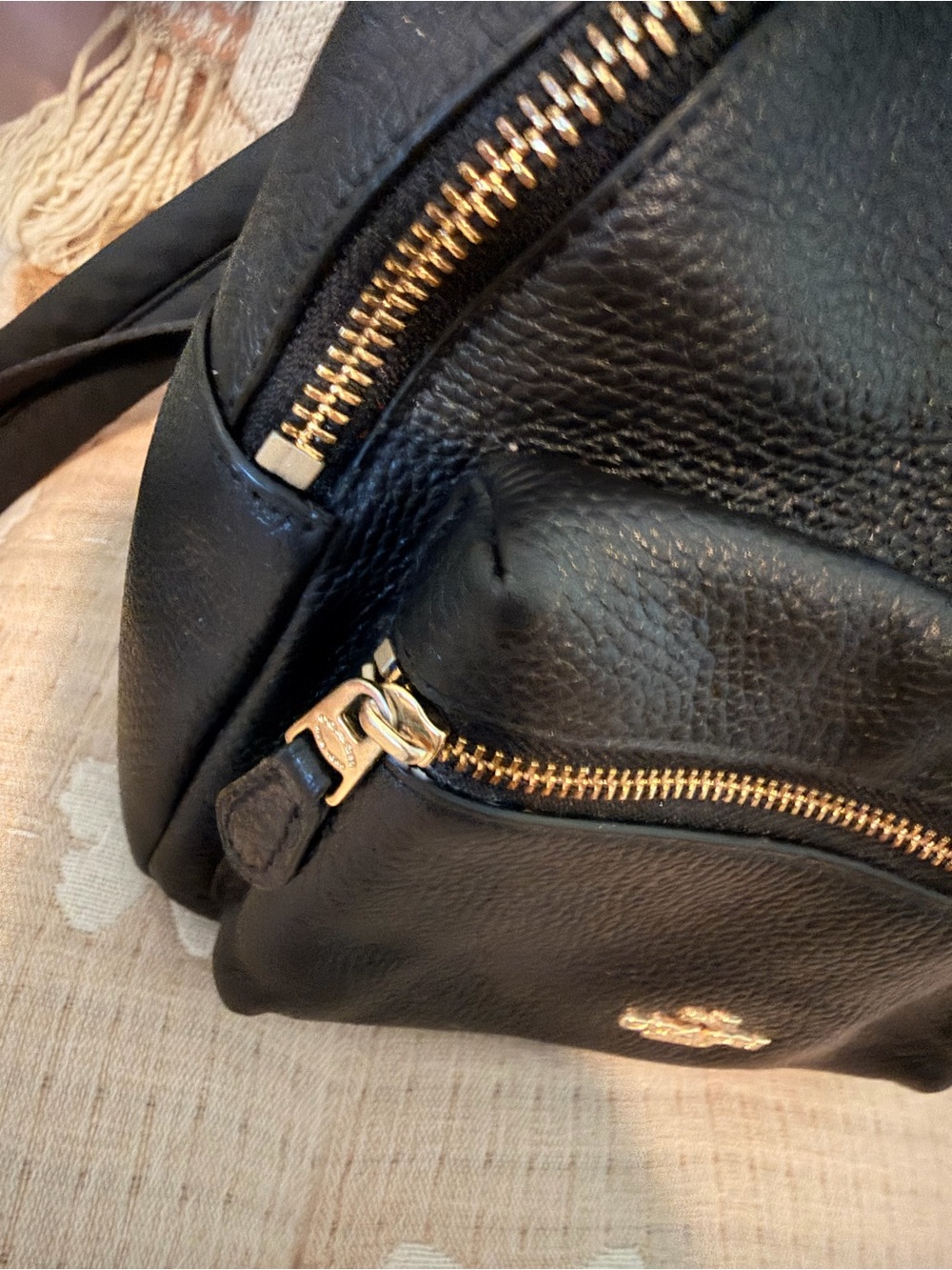 Coach Black Pebbled Leather Mini Backpack with Gold Hardware - Picture 7 of 7